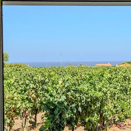 Annarosa 度假居 索尔索