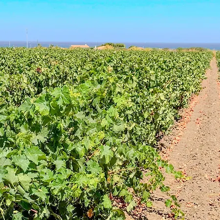 Casa de Férias Annarosa
