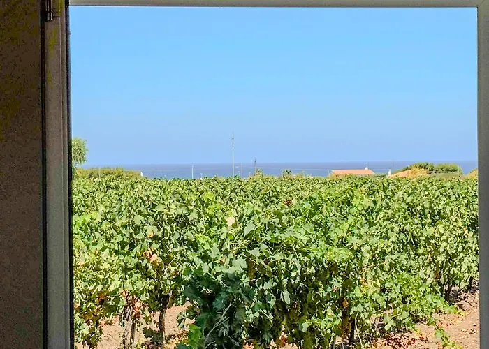 Annarosa 度假居 索尔索