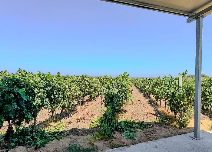 度假居 Annarosa 索尔索